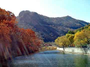 新澳天天开好彩资料大全，山东冲孔板